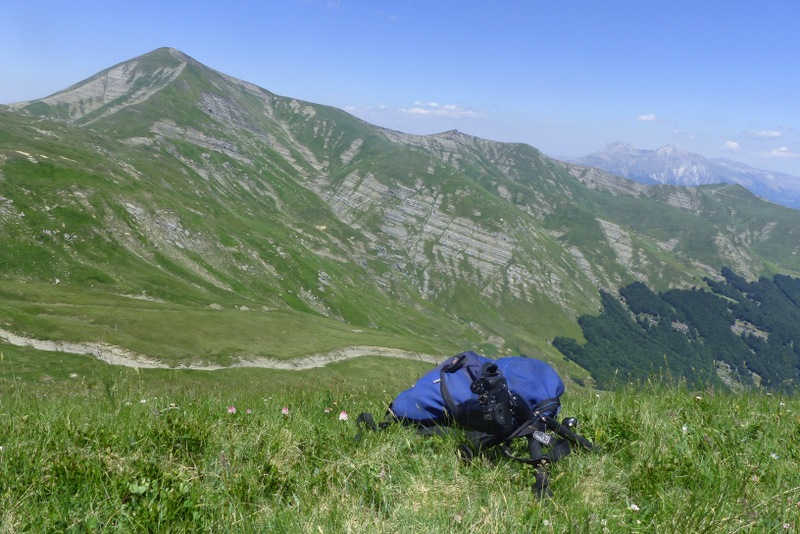 La Nigritella widderi a Pizzo di Sevo e Cima Lepri  -  luglio 2025